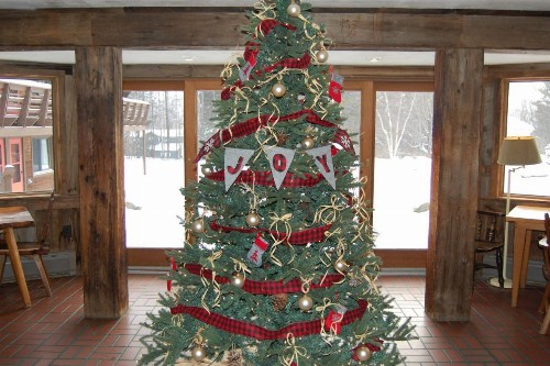 Summit Lodge - image 35