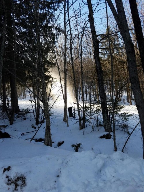 Ski in/out Spruce Glen Townhomes on Great Eastern Trail - image 15