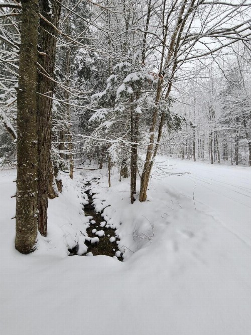 Ski in/out Spruce Glen Townhomes on Great Eastern Trail - image 25