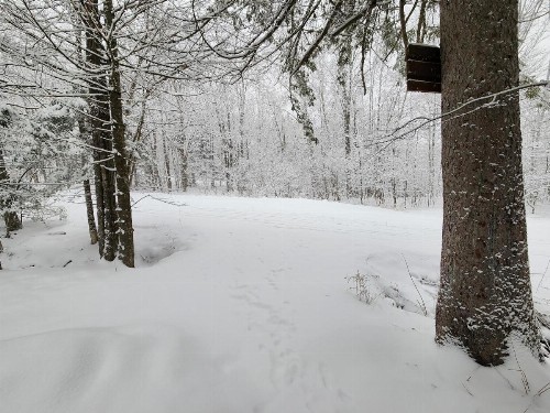 Ski in/out Spruce Glen Townhomes on Great Eastern Trail - image 4