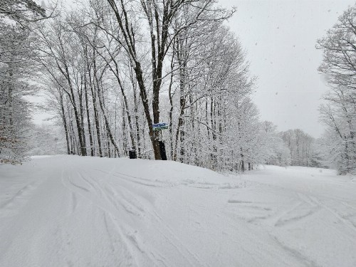 Ski in/out Spruce Glen Townhomes on Great Eastern Trail - image 9