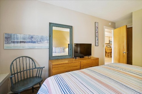 Woods Resort Unit V17 - image 17