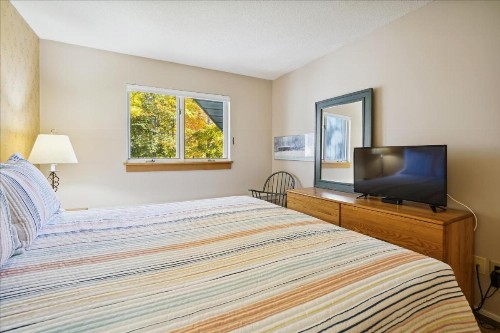 Woods Resort Unit V17 - image 19