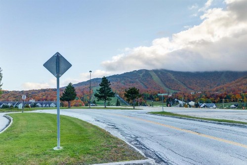 Mountain Green: 3C6 - image 6