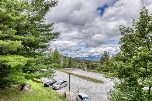 Mountain Green: 2C7 - image 7