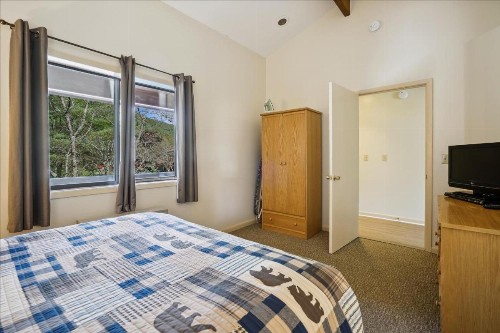 Cedarbrook Queen Suite 203 - image 6