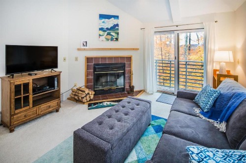 Woods Village 37 - image 9