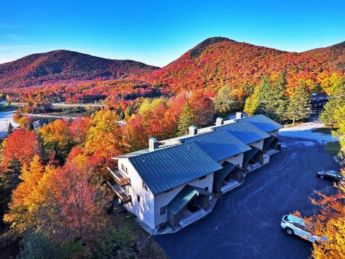 Charming Townhome Pico Mtn Ski-In and Ski-Out Access!