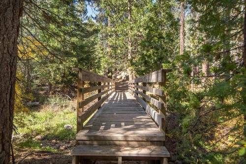 The Bear's Den (Condo) - image 16