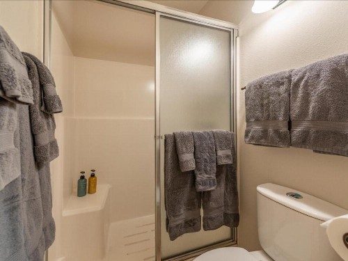 The Bear's Den (Condo) - image 25