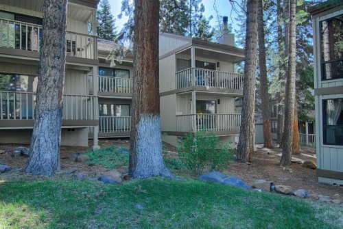 The Bear's Den (Condo) - image 7