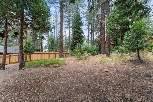 Dolly Varden Cottage (Cabin) - image 23