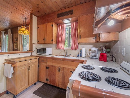 Cabin on Coon Street (Cabin) - image 4