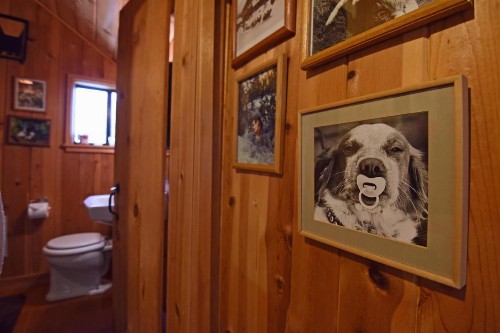 Rockpile Treehouse - image 8