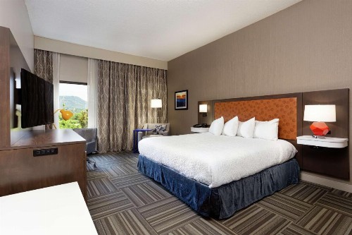 Hampton Inn Kingsport - image 11