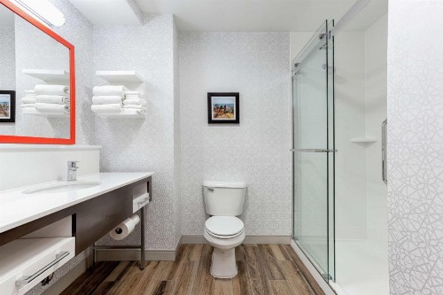 Hampton Inn Kingsport - image 18