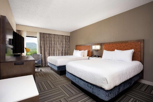 Hampton Inn Kingsport - image 2