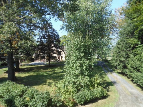The Carriage House Loft - image 15