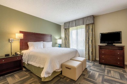 Hampton Inn & Suites Orlando-South Lake Buena Vista - image 13