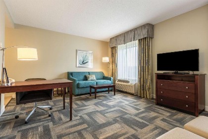 Hampton Inn & Suites Orlando-South Lake Buena Vista - image 14