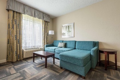 Hampton Inn & Suites Orlando-South Lake Buena Vista - image 15