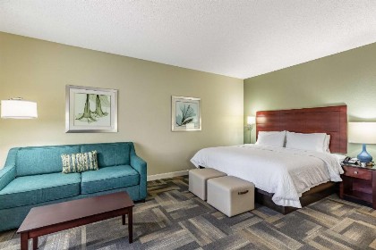 Hampton Inn & Suites Orlando-South Lake Buena Vista - image 17
