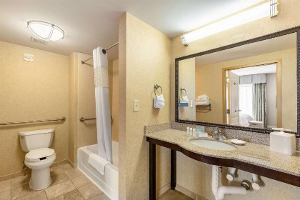 Hampton Inn & Suites Orlando-South Lake Buena Vista - image 18