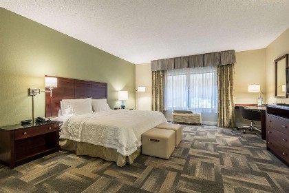 Hampton Inn & Suites Orlando-South Lake Buena Vista - image 19