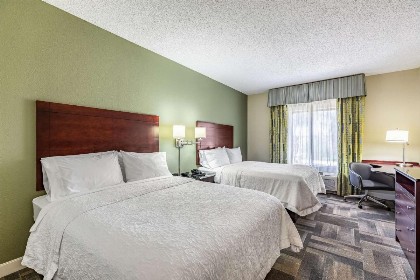 Hampton Inn & Suites Orlando-South Lake Buena Vista - image 2