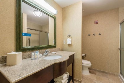 Hampton Inn & Suites Orlando-South Lake Buena Vista - image 20