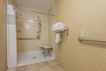 Hampton Inn & Suites Orlando-South Lake Buena Vista - image 3