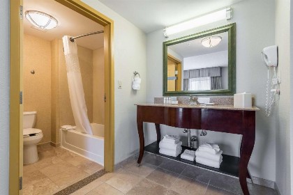 Hampton Inn & Suites Orlando-South Lake Buena Vista - image 39