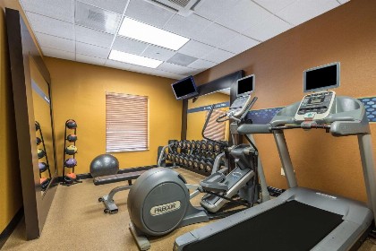 Hampton Inn & Suites Orlando-South Lake Buena Vista - image 4
