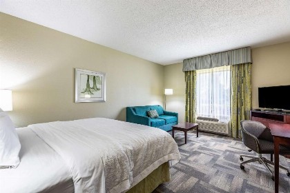 Hampton Inn & Suites Orlando-South Lake Buena Vista - image 42