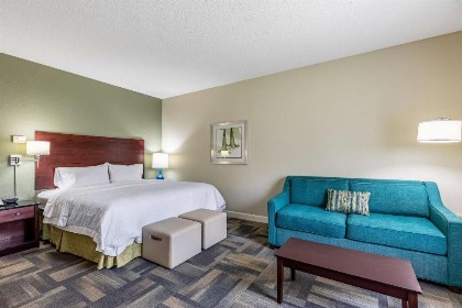 Hampton Inn & Suites Orlando-South Lake Buena Vista - image 43