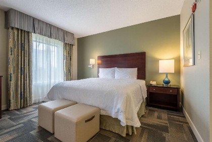 Hampton Inn & Suites Orlando-South Lake Buena Vista - image 6