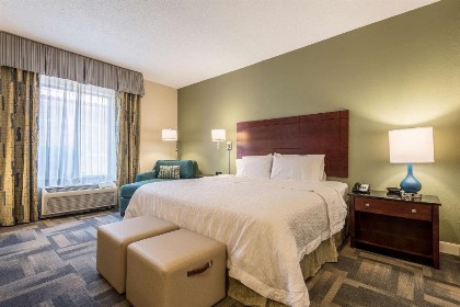 Hampton Inn & Suites Orlando-South Lake Buena Vista - image 8