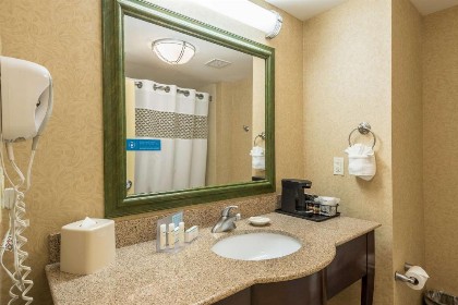 Hampton Inn & Suites Orlando-South Lake Buena Vista - image 9