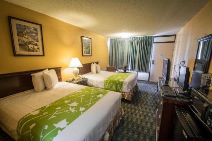 Quality Inn - image 3