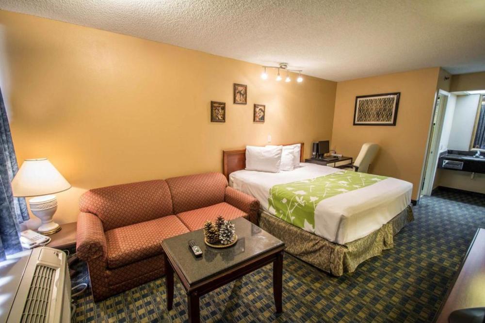 Quality Inn - image 5