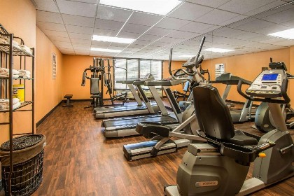 Comfort Inn Maingate - image 13