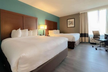 Comfort Inn Maingate - image 19