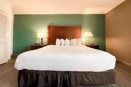 Comfort Inn Maingate - image 34