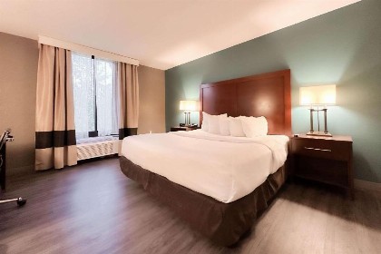 Comfort Inn Maingate - image 38