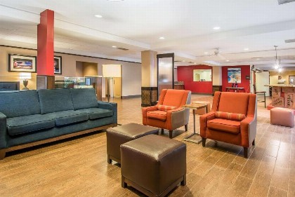 Comfort Inn Maingate - image 6