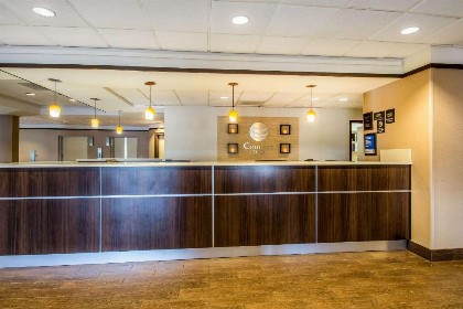 Comfort Inn Maingate - image 9