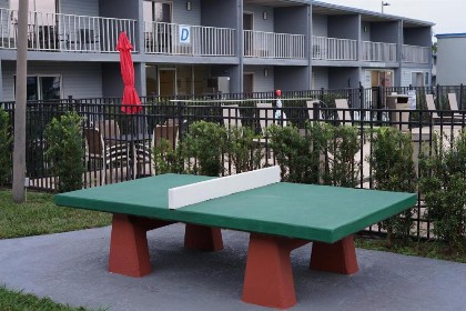 Celebration Suites - image 23