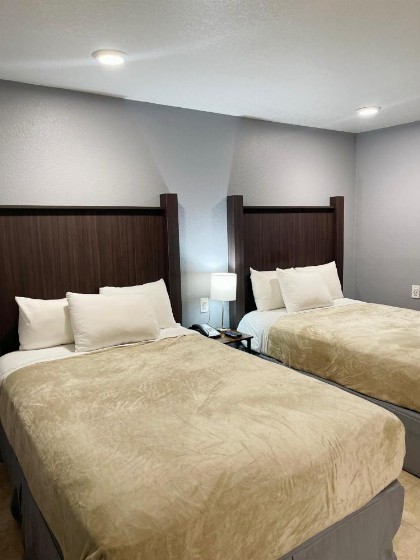 Celebration Suites - image 33
