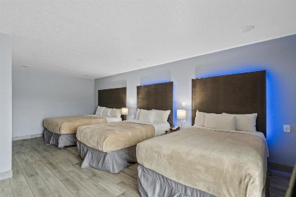 Celebration Suites - image 46