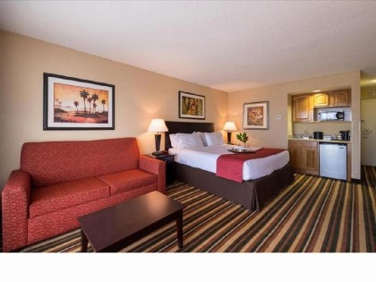 Holiday Inn Orlando SW – Celebration Area an IHG Hotel - image 10